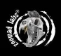 ZOOMAD LABS