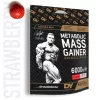 Dorian Yates Metabolic Mass Gainer 6000g Strawberry (Eper)