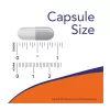 Now Foods Dandelion Root 500mg 100 Veg Caps 100 Kapszula - Méret