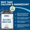 Applied Nutrition Calcium & Magnesium 60 Capsules 60 Kapszula