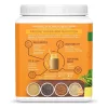 Sunwarrior Protein Classic PLUS (Plant Based, Organic) 375g Vanilla (Vanília)