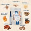 Applied Nutrition Mushroom Superblend 160g Unflavored (Ízesítetlen)