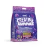 Applied Nutrition Creatine Monohydrate Gummies 400g 20 Servings