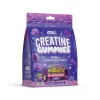 Applied Nutrition Creatine Monohydrate Gummies 400g 20 Servings