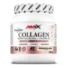 AMIX Collagen Viscofan® Drink 300g Pina Colada (Pina Colada)