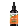 Now Foods Echinacea Extract 2fl oz 59ml