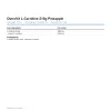 OstroVit L-Carnitine 210g Pineapple (Ananász)