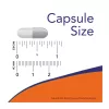 Now Foods Grape Seed 250mg Extra Strength 90 Veg Capsules 90 Kapszula EXP.:2027/02/28 - Méret