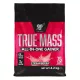 BSN True-Mass All-In-One Gainer 4200g Strawberry (Eper)