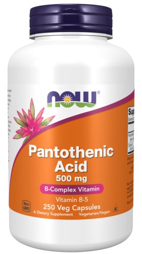 Now Foods Pantothenic Acid 500mg 250 Veg Capsules 250 Kapszula