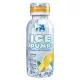 Fitness Authority Ice Pump 120ml Orange Citrus (Narancs Citrus)