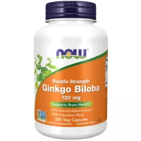 Ginkgo biloba