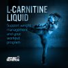 Applied Nutrition L-Carnitine 3000mg Liquid & Green Tea 495ml Tangy Orange (Narancs)