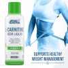 Applied Nutrition L-Carnitine 3000mg Liquid & Green Tea 495ml Sour Apple (Alma)