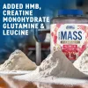 Applied Nutrition Critical Mass Professional 2400g Chocolate (Csokoládé)