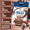 Applied Nutrition Critical Mass Professional 6000g Chocolate (Csokoládé)