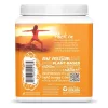 Sunwarrior Protein Classic PLUS (Plant Based, Organic) 375g