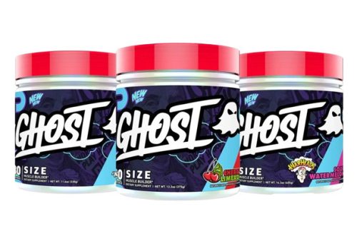 Ghost Size V3 330g