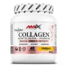 AMIX Collagen Viscofan® Drink 300g