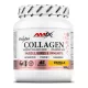 AMIX Collagen Viscofan® Drink 300g