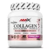 AMIX Collagen Viscofan® Drink 300g