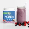 Sunwarrior Protein Warrior Blend (Plant Based, Organic) 375g