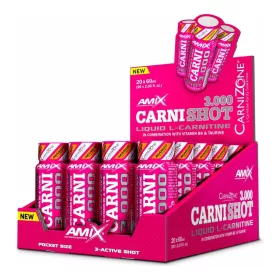 AMIX Karton CarniShot 3000 20x60ml