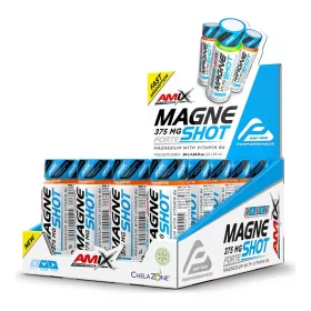 AMIX Karton MagneShot Forte 375mg 20x60ml